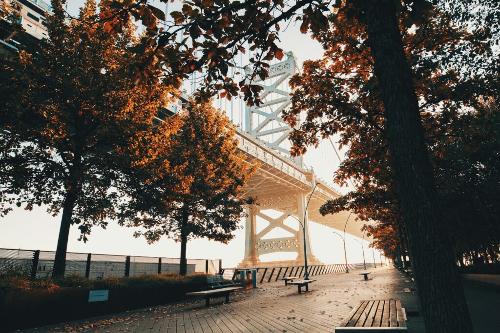 Benjamin Franklin Bridge in Philadelphia seen through maple trees with glowing sunlight in background. A boardwalk and benches are visible in the foreground.
